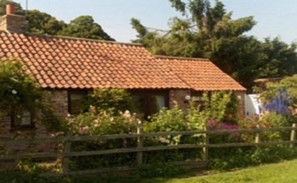 Wisteria Cottage Logo