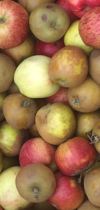 Sweet Apple Juice Blend Apples