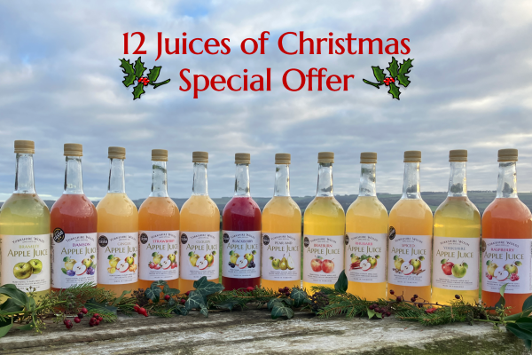 12 juices of Christmas offer